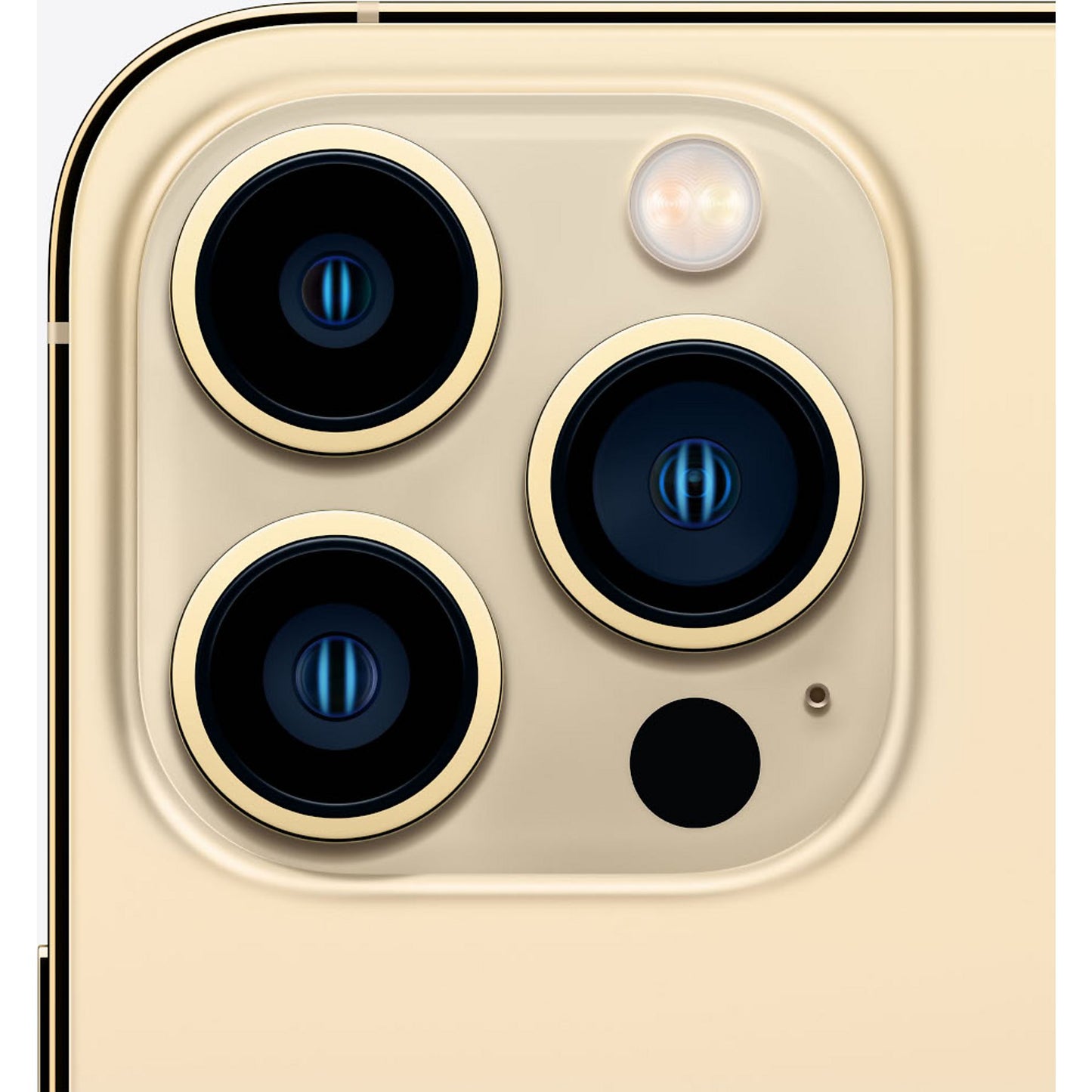 iPhone 13 Pro - Goud