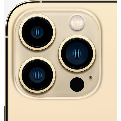 iPhone 13 Pro - Goud