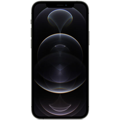 iPhone 12 Pro - Zwart