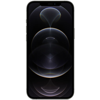 iPhone 12 Pro Max - Zwart