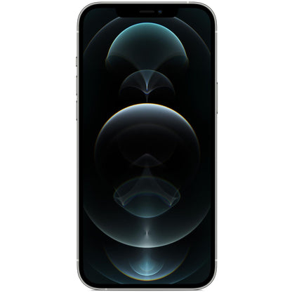 iPhone 12 Pro Max - Zilver